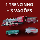 Trenzinho De Natal a Vapor - Christmas Train