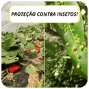 ProtecNet - Rede de Proteção para Plantações Contra Insetos
