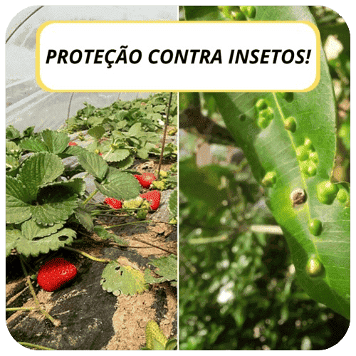 ProtecNet - Rede de Proteção para Plantações Contra Insetos
