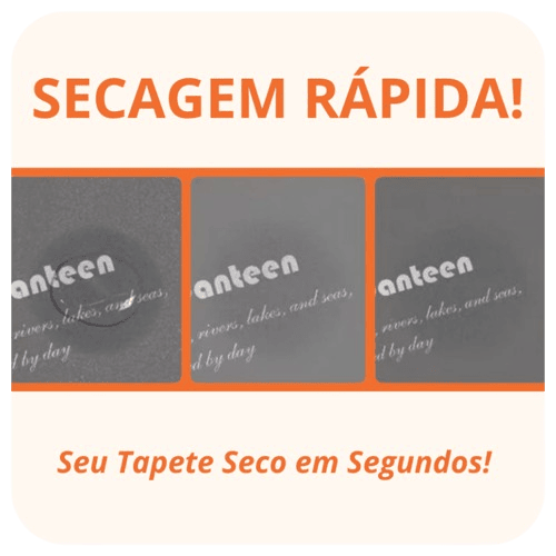 Kit Tapetes Seca Plus - Antiderrapante com Design Moderno e Acolchoado